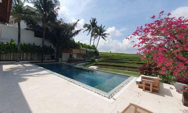5-Bedroom Estate with Rice Field Views in Cepaka (B-CP55)