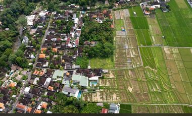 5-Bedroom Estate with Rice Field Views in Cepaka (B-CP55)
