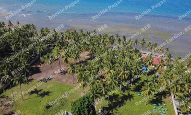 beachfront house and lot for sale