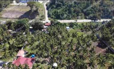 beachfront house and lot for sale