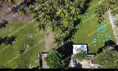 beachfront house and lot for sale