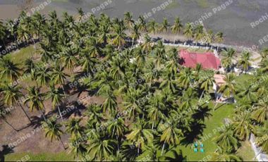 beachfront house and lot for sale