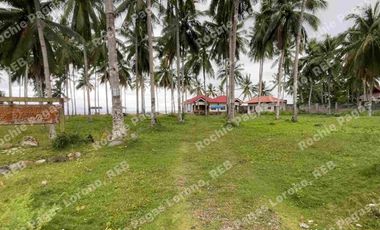 beachfront house and lot for sale