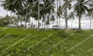 beachfront house and lot for sale