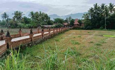 Jual Cepat Tanah Kosong