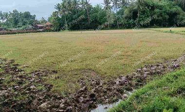 Jual Cepat Tanah Kosong