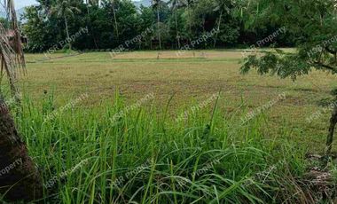 Jual Cepat Tanah Kosong