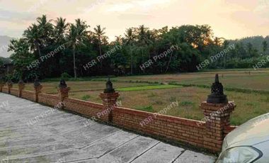 Jual Cepat Tanah Kosong