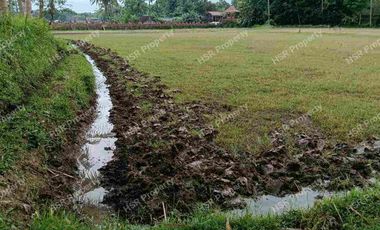 Jual Cepat Tanah Kosong