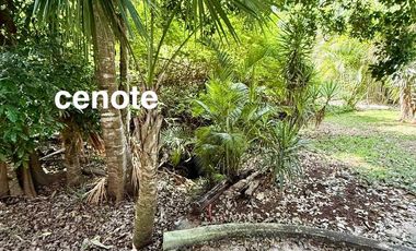 Club Real Playacar Villa for Sale – Furnished 3BR Home with Amenities & Security