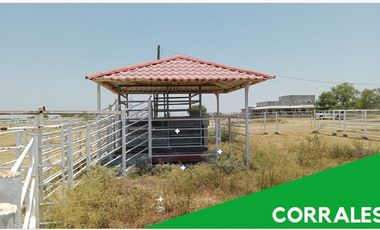 RANCHO EN VENTA EN CHINA, NUEVO LEON,  TIERRAS MUY FERTILES, ABUNDANTE AGUA, FLORA Y FAUNA, 675 HAS A PUERTA CERRADA, FRENTE AUTOPISTA MTY - REYNOSA