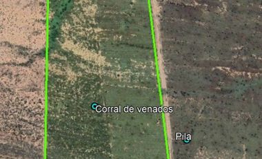 RANCHO EN VENTA EN CHINA, NUEVO LEON,  TIERRAS MUY FERTILES, ABUNDANTE AGUA, FLORA Y FAUNA, 675 HAS A PUERTA CERRADA, FRENTE AUTOPISTA MTY - REYNOSA