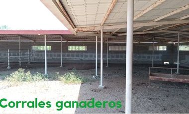 RANCHO EN VENTA EN CHINA, NUEVO LEON,  TIERRAS MUY FERTILES, ABUNDANTE AGUA, FLORA Y FAUNA, 675 HAS A PUERTA CERRADA, FRENTE AUTOPISTA MTY - REYNOSA