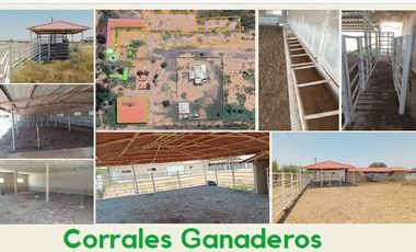 RANCHO EN VENTA EN CHINA, NUEVO LEON,  TIERRAS MUY FERTILES, ABUNDANTE AGUA, FLORA Y FAUNA, 675 HAS A PUERTA CERRADA, FRENTE AUTOPISTA MTY - REYNOSA