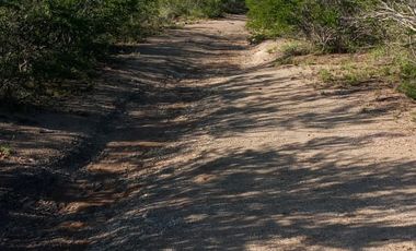 RANCHO EN VENTA EN GRAL TERAN, NUEVO LEON, TIERRAS MUY FERTILES, ABUNDANTE AGUA, FLORA Y FAUNA, 208 HAS, CERCANO AL CENTRO DEL MUNICIPIO, $  ESPECIAL