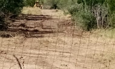 RANCHO EN VENTA EN GRAL TERAN, NUEVO LEON, TIERRAS MUY FERTILES, ABUNDANTE AGUA, FLORA Y FAUNA, 208 HAS, CERCANO AL CENTRO DEL MUNICIPIO, $  ESPECIAL