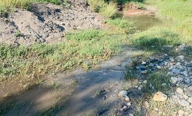 RANCHO EN VENTA EN GRAL TERAN, NUEVO LEON, TIERRAS MUY FERTILES, ABUNDANTE AGUA, FLORA Y FAUNA, 208 HAS, CERCANO AL CENTRO DEL MUNICIPIO, $  ESPECIAL