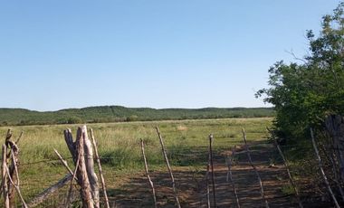 RANCHO EN VENTA EN GRAL TERAN, NUEVO LEON, TIERRAS MUY FERTILES, ABUNDANTE AGUA, FLORA Y FAUNA, 208 HAS, CERCANO AL CENTRO DEL MUNICIPIO, $  ESPECIAL