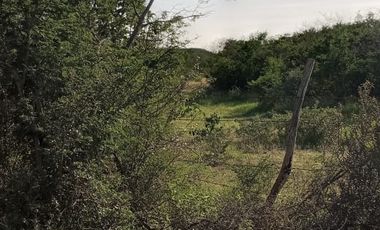 RANCHO EN VENTA EN GRAL TERAN, NUEVO LEON, TIERRAS MUY FERTILES, ABUNDANTE AGUA, FLORA Y FAUNA, 208 HAS, CERCANO AL CENTRO DEL MUNICIPIO, $  ESPECIAL