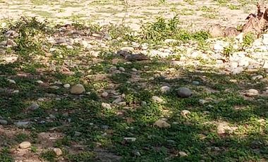 RANCHO EN VENTA EN GRAL TERAN, NUEVO LEON, TIERRAS MUY FERTILES, ABUNDANTE AGUA, FLORA Y FAUNA, 208 HAS, CERCANO AL CENTRO DEL MUNICIPIO, $  ESPECIAL