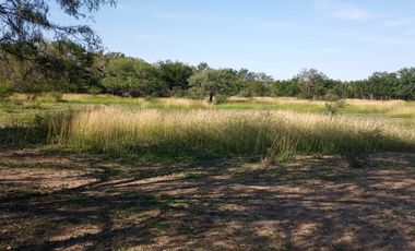 RANCHO EN VENTA EN GRAL TERAN, NUEVO LEON, TIERRAS MUY FERTILES, ABUNDANTE AGUA, FLORA Y FAUNA, 208 HAS, CERCANO AL CENTRO DEL MUNICIPIO, $  ESPECIAL