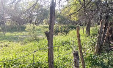 RANCHO EN VENTA EN GRAL TERAN, NUEVO LEON, TIERRAS MUY FERTILES, ABUNDANTE AGUA, FLORA Y FAUNA, 208 HAS, CERCANO AL CENTRO DEL MUNICIPIO, $  ESPECIAL