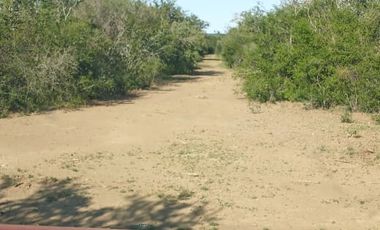 RANCHO EN VENTA EN GRAL TERAN, NUEVO LEON, TIERRAS MUY FERTILES, ABUNDANTE AGUA, FLORA Y FAUNA, 208 HAS, CERCANO AL CENTRO DEL MUNICIPIO, $  ESPECIAL