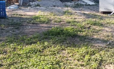 RANCHO EN VENTA EN GRAL TERAN, NUEVO LEON, TIERRAS MUY FERTILES, ABUNDANTE AGUA, FLORA Y FAUNA, 208 HAS, CERCANO AL CENTRO DEL MUNICIPIO, $  ESPECIAL