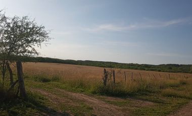 RANCHO EN VENTA EN GRAL TERAN, NUEVO LEON, TIERRAS MUY FERTILES, ABUNDANTE AGUA, FLORA Y FAUNA, 208 HAS, CERCANO AL CENTRO DEL MUNICIPIO, $  ESPECIAL