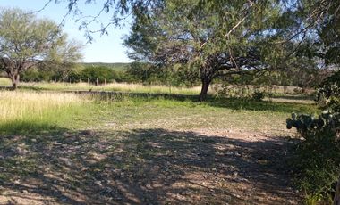 RANCHO EN VENTA EN GRAL TERAN, NUEVO LEON, TIERRAS MUY FERTILES, ABUNDANTE AGUA, FLORA Y FAUNA, 208 HAS, CERCANO AL CENTRO DEL MUNICIPIO, $  ESPECIAL