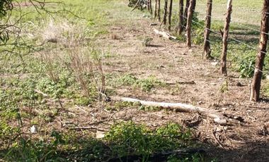 RANCHO EN VENTA EN GRAL TERAN, NUEVO LEON, TIERRAS MUY FERTILES, ABUNDANTE AGUA, FLORA Y FAUNA, 208 HAS, CERCANO AL CENTRO DEL MUNICIPIO, $  ESPECIAL