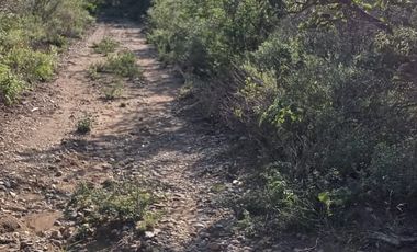 RANCHO EN VENTA EN GRAL TERAN, NUEVO LEON, TIERRAS MUY FERTILES, ABUNDANTE AGUA, FLORA Y FAUNA, 208 HAS, CERCANO AL CENTRO DEL MUNICIPIO, $  ESPECIAL