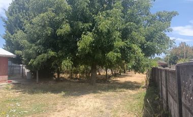 VENDO HERMOSA CASA QUINTA EN CHILLAN VIEJO