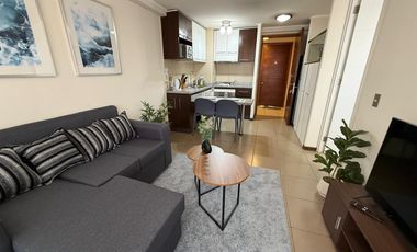 DEPTO. FULL AMOBLADO EDIFICIO PARQUE ALAMEDA