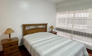 LINDO Y EXCLUSIVO DPTO 1 DORM FULL AMOBLADO