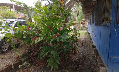 VENTA DE LOTE FRENTE AL MAR – 680 m² + 2 CASAS  ¡Oportunidad única para invertir en la costa de Esmeraldas!