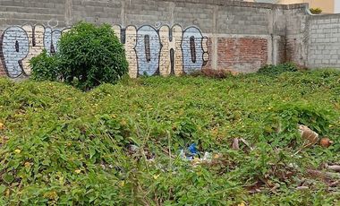 VENTA DE LOTE DE TERRENO FRENTE AL MAR   Ubicación: Zona Diamond,  Área: 500 m²