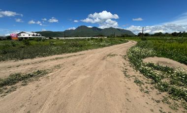 TERRENO EN VENTA EN TEPEAPULCO