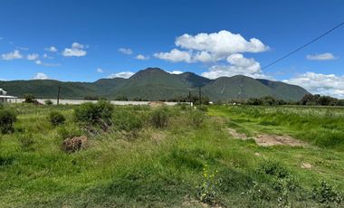 TERRENO EN VENTA EN TEPEAPULCO