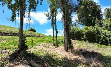 PARCELA DE OPORTUNIDAD A SOLO 6 MIN DE PUERTO VARAS