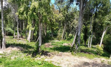 PARCELA DE OPORTUNIDAD A SOLO 6 MIN DE PUERTO VARAS