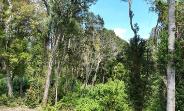 PARCELA DE OPORTUNIDAD A SOLO 6 MIN DE PUERTO VARAS