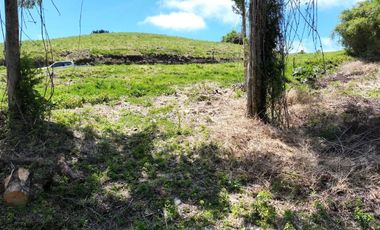 PARCELA DE OPORTUNIDAD A SOLO 6 MIN DE PUERTO VARAS