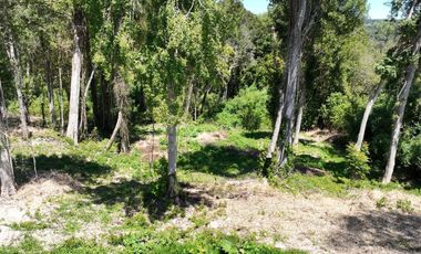 PARCELA DE OPORTUNIDAD A SOLO 6 MIN DE PUERTO VARAS