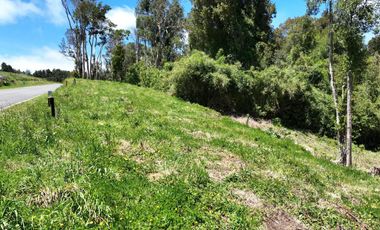 PARCELA DE OPORTUNIDAD A SOLO 6 MIN DE PUERTO VARAS