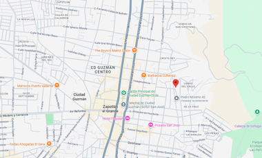 Casa en venta en Pedro Moreno González No. 2 Mz. 21, Colonia Loma del Barro, Zapotlán el Grande. Gran oportunidad de inversión