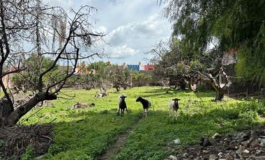 Terreno en Lomas de Temaxcalapa, Atlixco listo para desarrollar