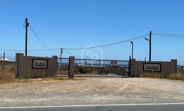 ARRIENDO CASA 4D/2B, AÑO CORRIDO, SEMIAMOBLADA Y CON PISCINA FRENTE A LA PLAYA