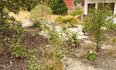 TERENO EN RENTA EN OCOTAL, LOMA DEL PADRE, CUAJIMALPA DE MORELOS