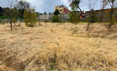 TERENO EN RENTA EN OCOTAL, LOMA DEL PADRE, CUAJIMALPA DE MORELOS